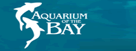 Aquarium of the Bay優惠碼